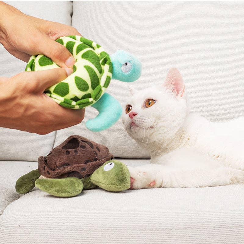 Jouet en forme de tortue sonore en peluche pour chiens de petite et moyenne taille